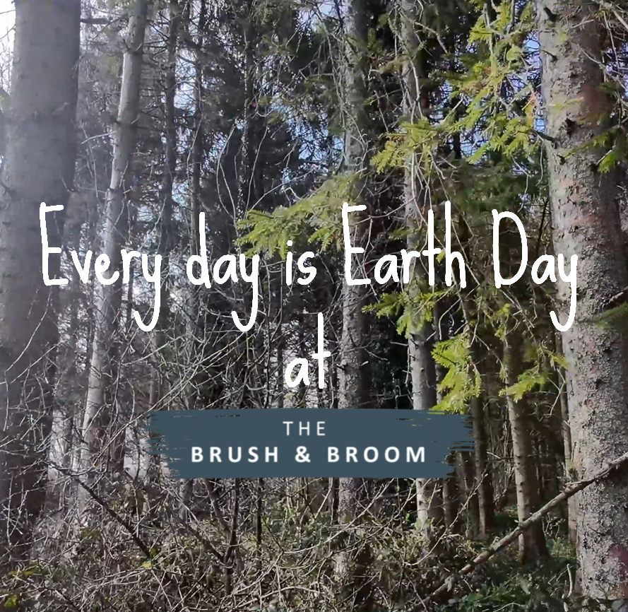 🌍 Earth Day 2025: A Moment to Reflect, Reconnect, and Rewild